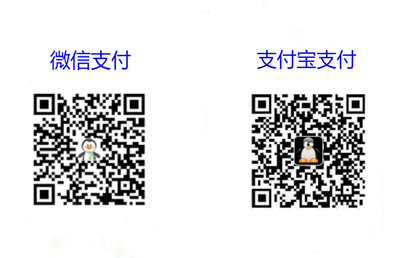 支付