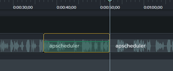 camtasia