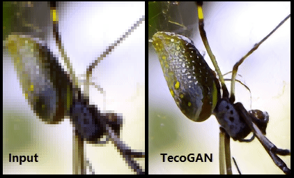 TecoGAN图像增强
