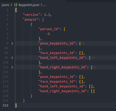 openpose json