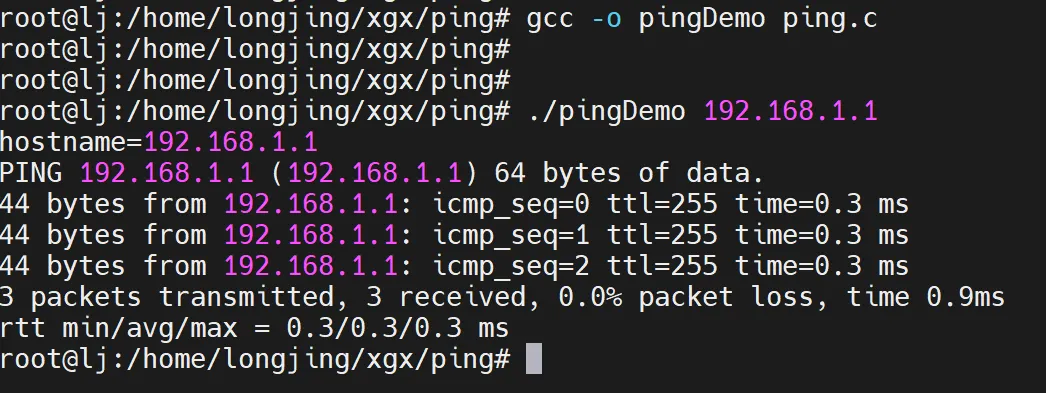 linux ping code